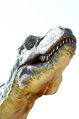 Image showing Dinosaur Tyrannosaurus rex on white
