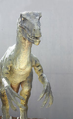 Image showing Deinonychus dinosaur