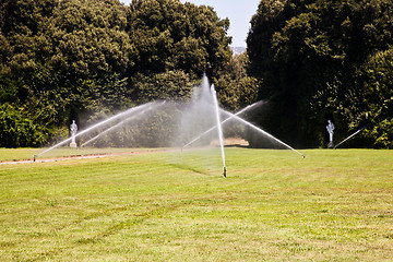 Image showing Luxury garden: irrigation