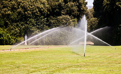 Image showing Luxury garden: irrigation