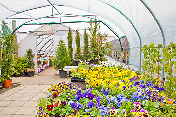 Image showing Greenhouse 