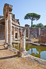 Image showing Roman columns