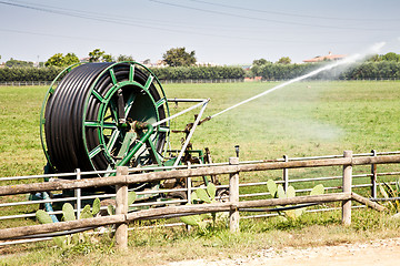 Image showing Irrigation