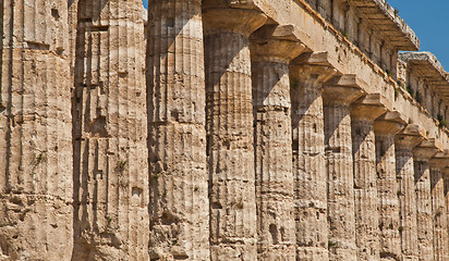 Image showing Paestum temple - Italy