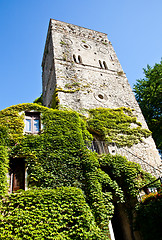Image showing Castle covered by ivy