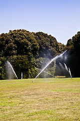 Image showing Luxury garden: irrigation