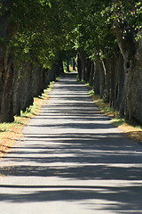 Image showing Alley