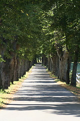 Image showing Alley