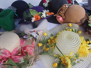 Image showing Derby hats