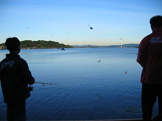 Image showing Fishing