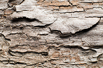 Image showing Wooden background