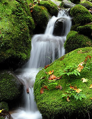 Image showing Waterfall in the forest