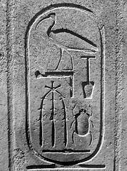 Image showing Egyptian cartouche in B/W