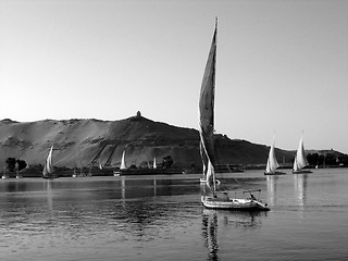 Image showing Felukahs on the Nile in B/W