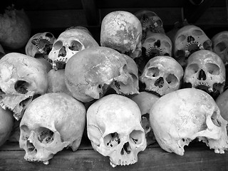 Image showing Human skulls in B/W