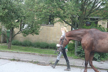 Image showing Horse with decoration