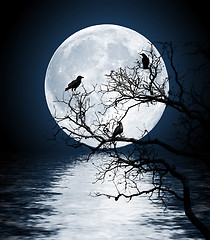 Image showing Ravens sitting on a tree shined with the full moon