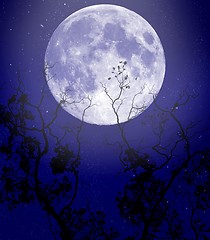 Image showing Full moon