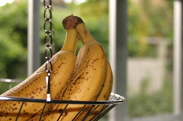 Image showing Bananas