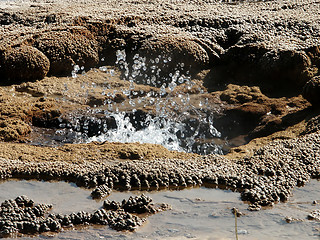 Image showing Bubbling Geyser