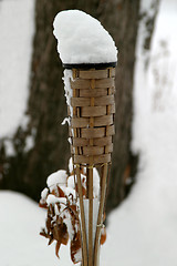 Image showing Torch with Snow Flame