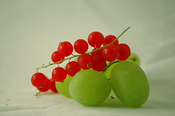 Image showing Uva and ribes - Fruit