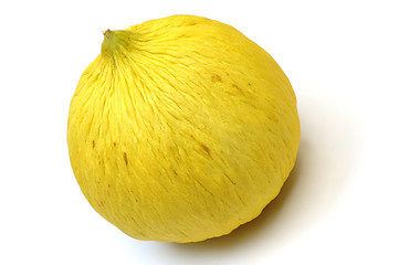 Image showing casaba melon