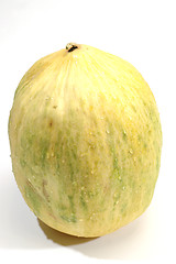 Image showing  crenshaw melon