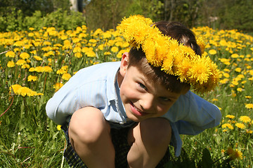 Image showing Child and Dandelions