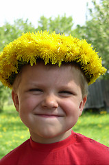 Image showing Child and Dandelions