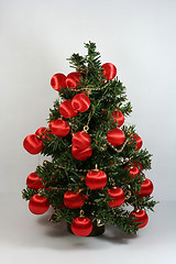 Image showing Christmas Tree