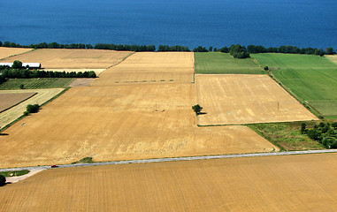 Image showing Fields