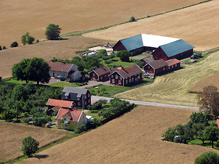 Image showing Farms