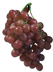 Image showing Grapes