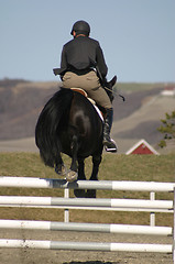 Image showing Horse jumping