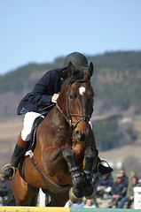Image showing Horse jumping