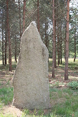 Image showing Big old stone in forest