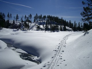 Image showing Ski-track in winter landscape