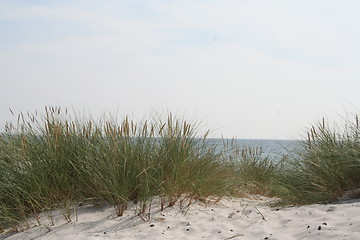 Image showing Beach in Sweden