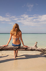 Image showing bikini woman in paradise