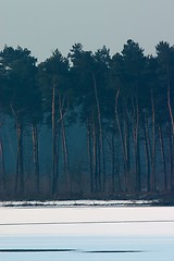 Image showing Lake Haubach in the morning 1