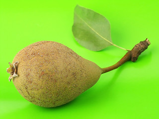 Image showing Pear