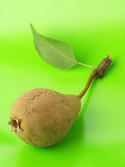 Image showing Pear