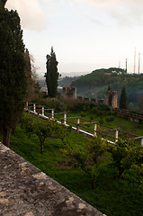 Image showing Convent of Christ garden