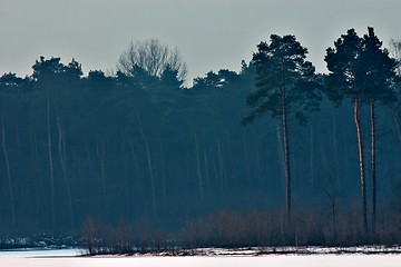 Image showing Lake haubach in the morning 2