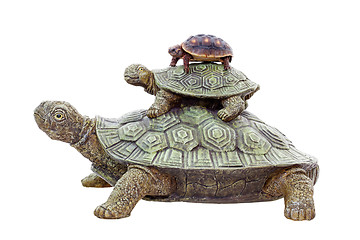 Image showing Red Footed Tortoise on Top