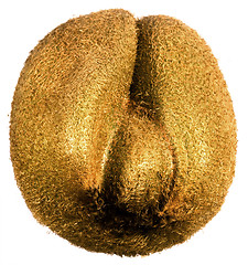 Image showing kiwifruit