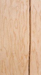 Image showing light wooden texture