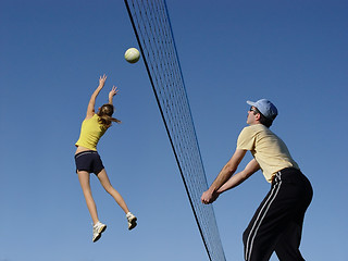 Image showing Volleyball