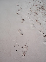 Image showing foot prints